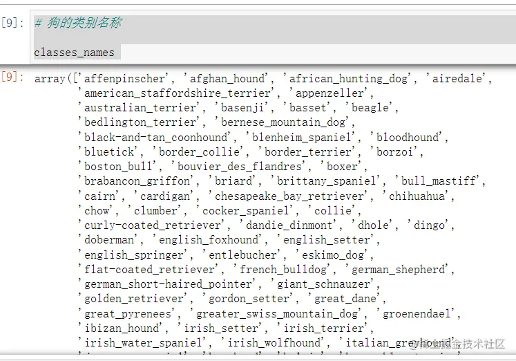 image-20220731104721995