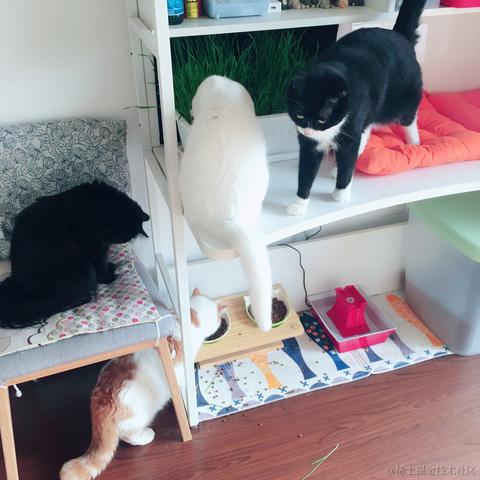Susie_女子于2021-09-14 17:08发布的图片