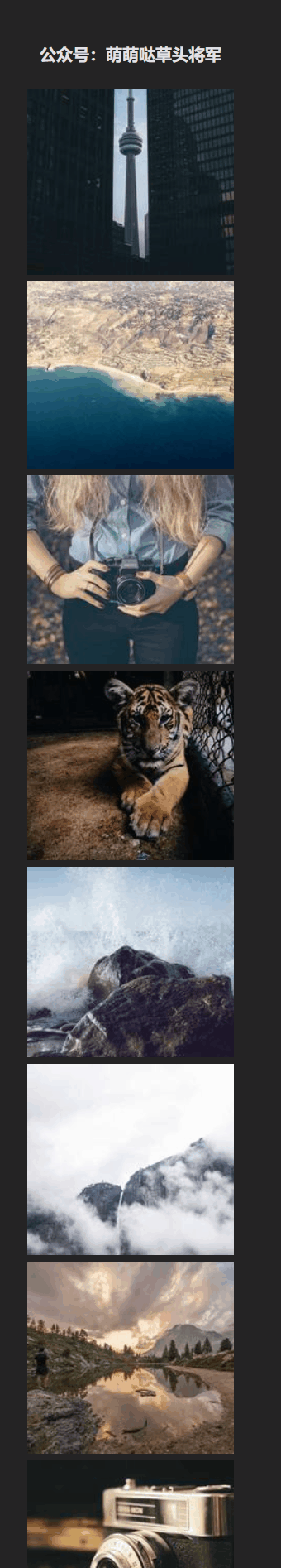 lazy2.gif