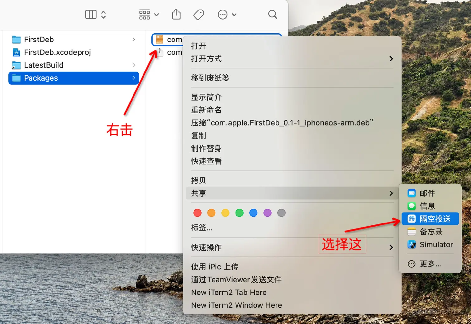 image-20221204185247044
