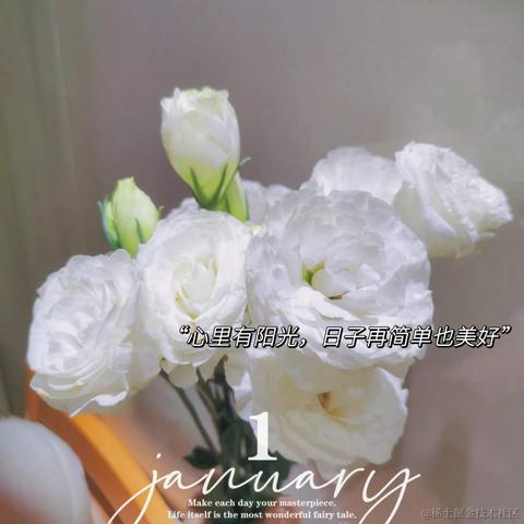 云汐于2022-04-20 10:53发布的图片
