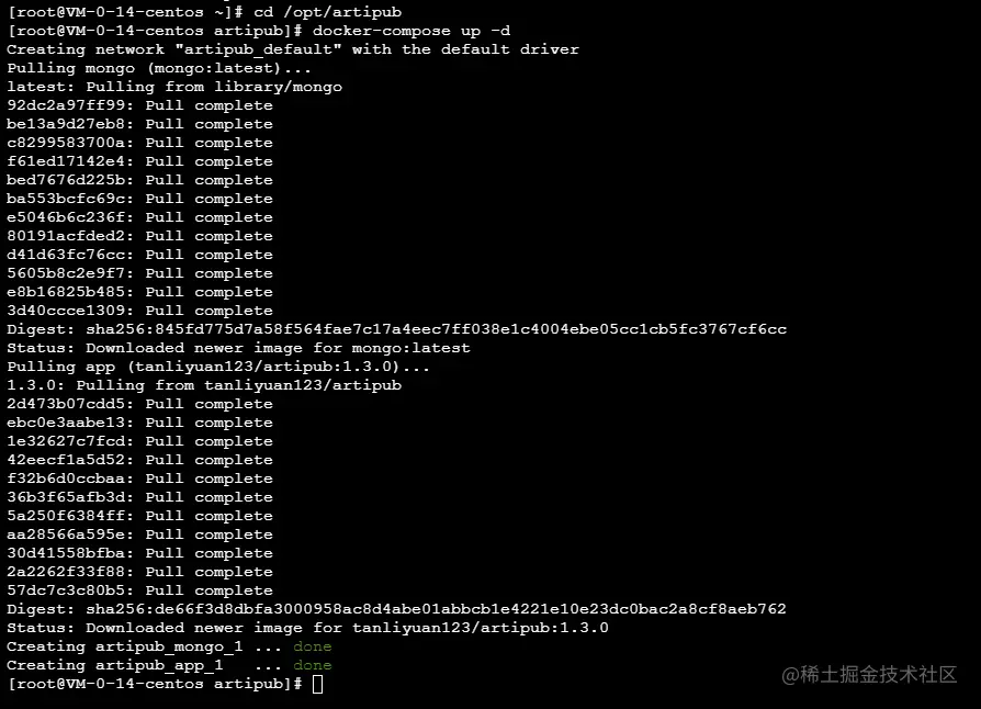 image-20210311215200171