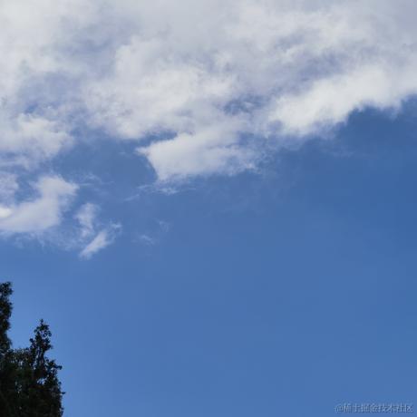 草学长至臻于2023-07-09 06:59发布的图片