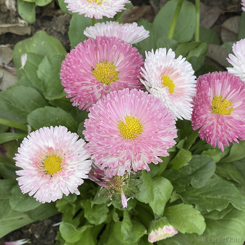 困芽芽于2023-04-01 22:20发布的图片