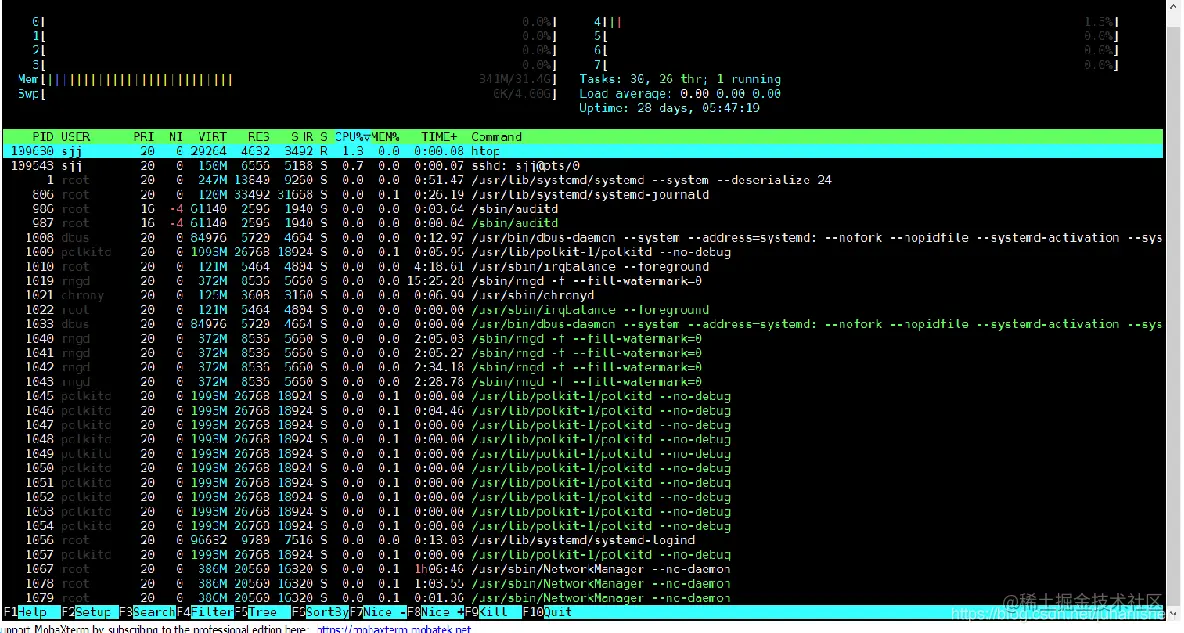 htop command window