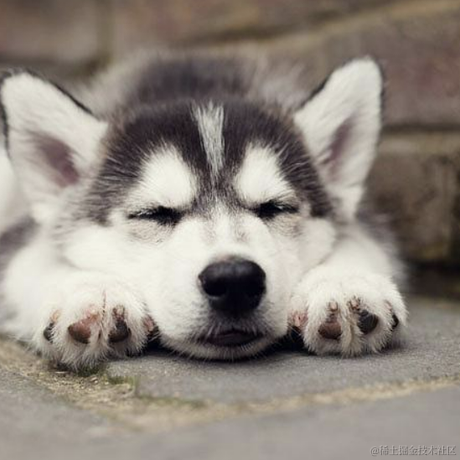 玖月吖于2023-08-01 10:18发布的图片