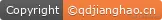 npm version