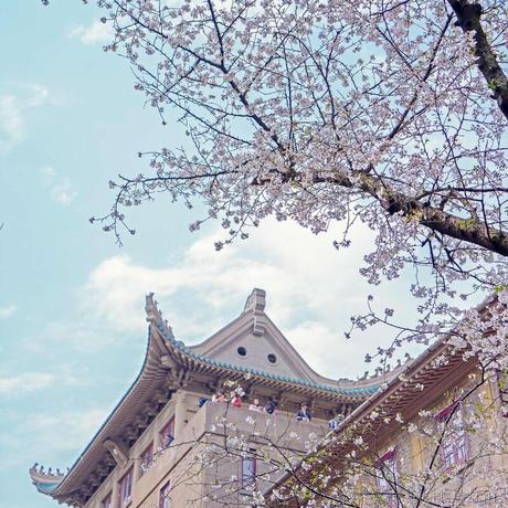Mr_Li于2021-03-03 15:11发布的图片