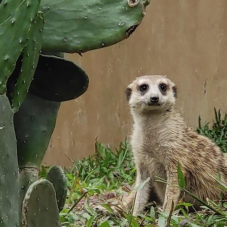 枝江大钻头于2023-06-20 23:38发布的图片