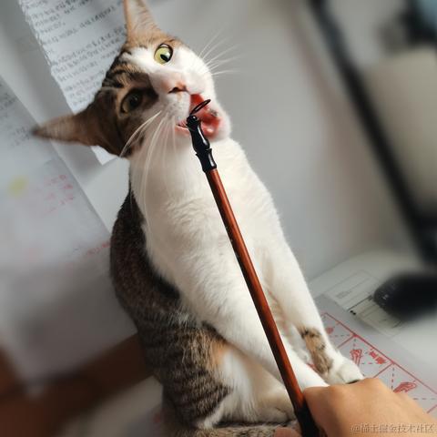 忌浮躁于2022-09-25 00:22发布的图片