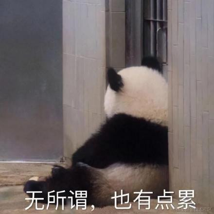 道友请留步_于2024-04-28 10:18发布的图片
