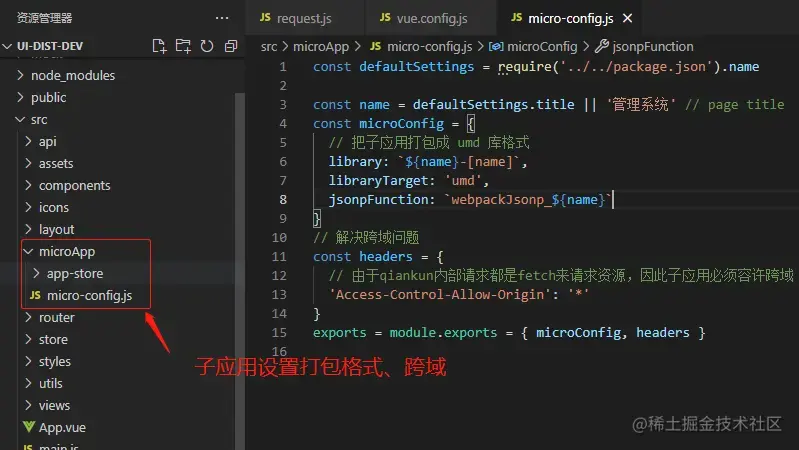 micro-config.js配置