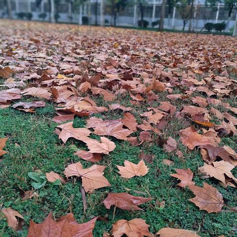 netfix于2022-11-24 13:59发布的图片