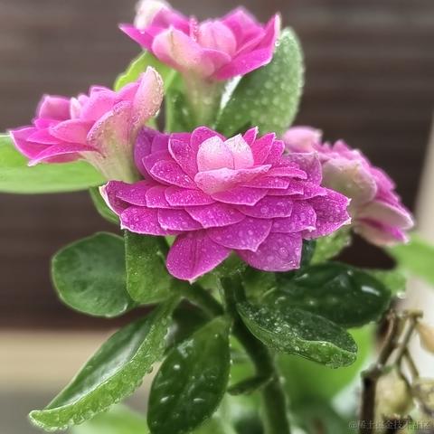 马农可夫于2022-07-22 07:35发布的图片