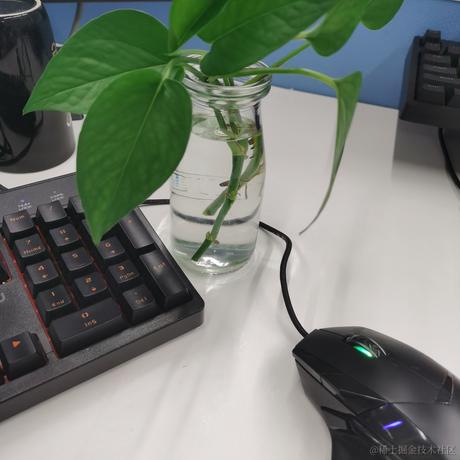 xiaonanguitar于2020-09-04 18:15发布的图片