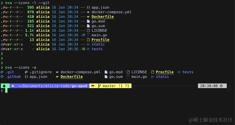 exa-example-usage（exa-示例用法）