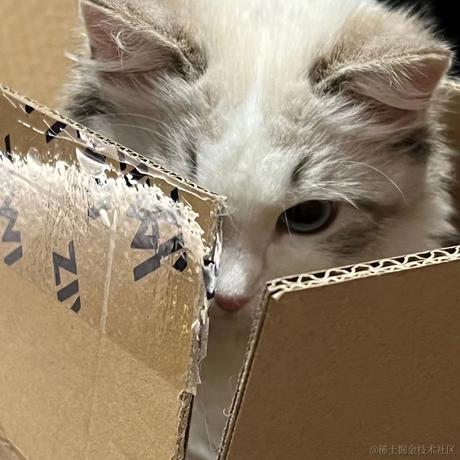 好好学习不行吗于2023-05-24 16:38发布的图片