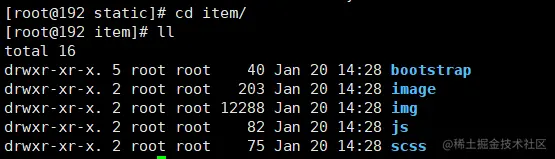 image-20210120143015862