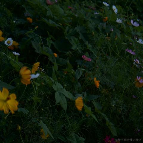 司吧啦西于2024-06-18 13:24发布的图片