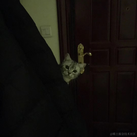 点9于2021-10-29 01:56发布的图片