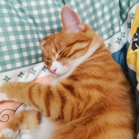 柒弎于2022-11-24 07:56发布的图片