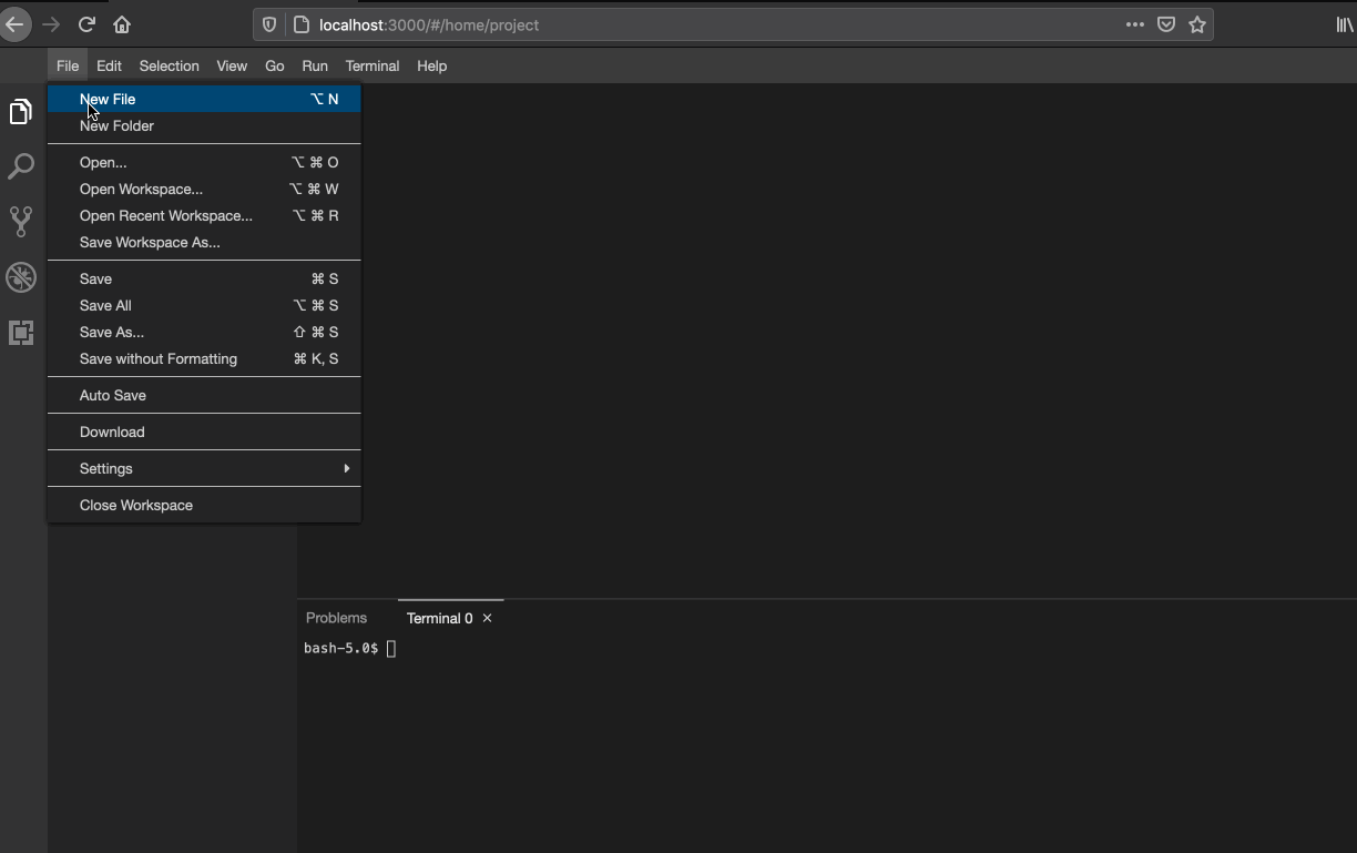 usage of docker run theia image