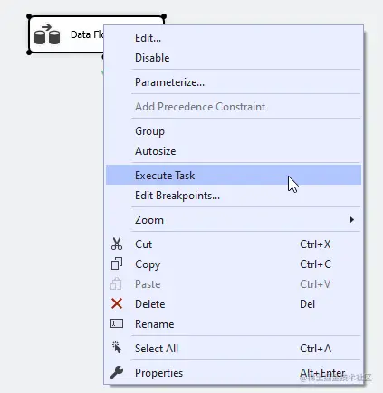 Executing the Data Flow Task