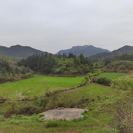 觱篥于2023-04-09 17:11发布的图片