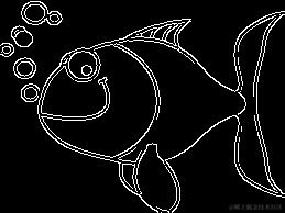 边缘检测 鱼