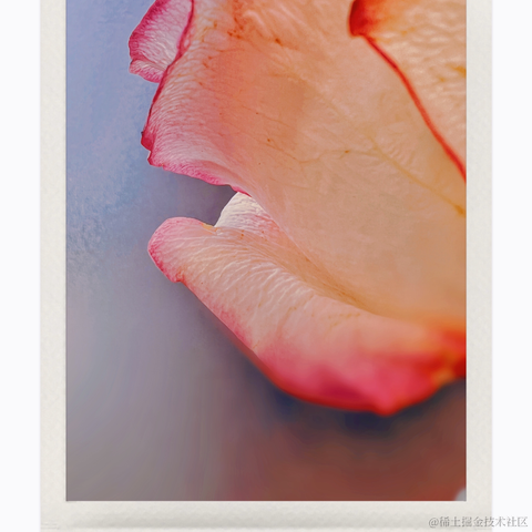 红毛丹于2022-04-29 21:15发布的图片