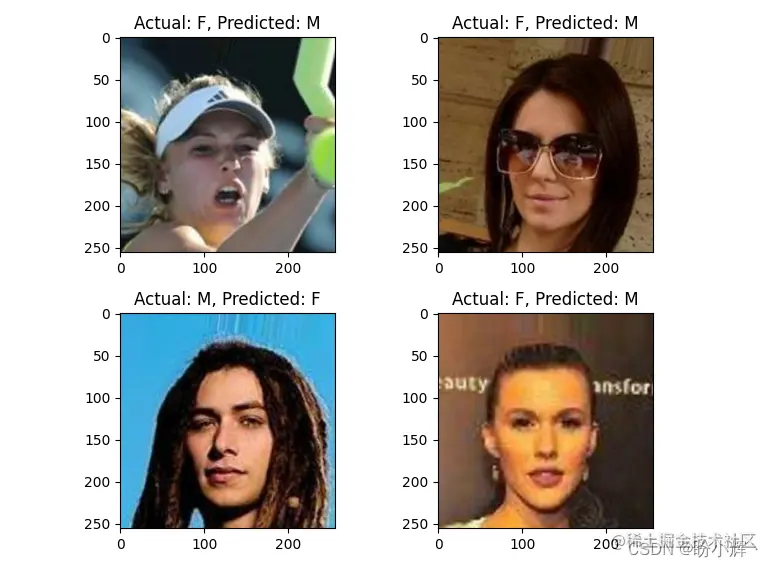 错误分类的图片