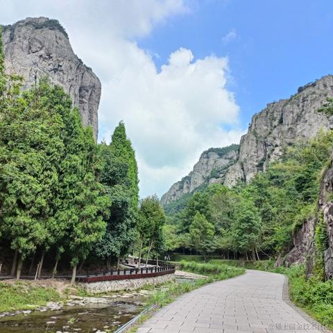 半亩花海于2023-08-13 19:58发布的图片