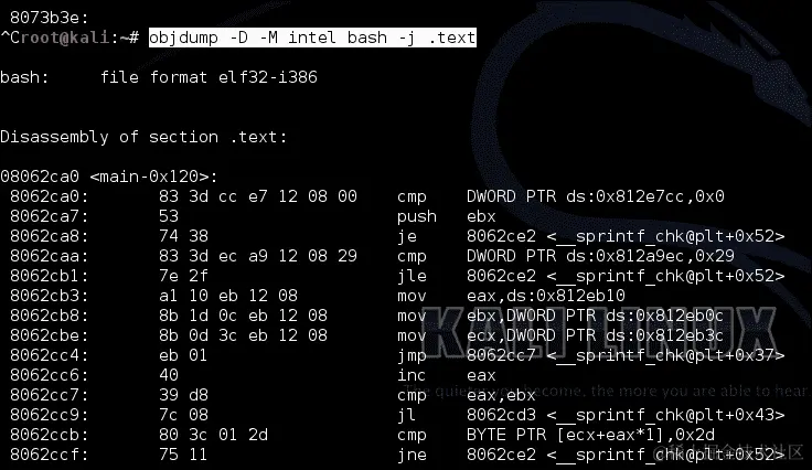 使用 Objdump 进行反汇编