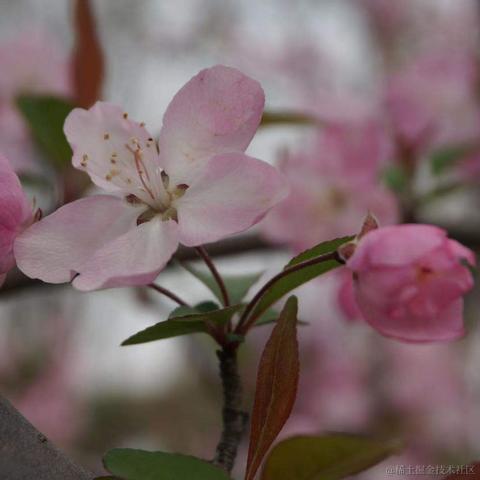 Curtain于2022-03-31 17:39发布的图片