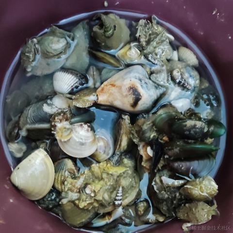 脆弱杨桃干于2022-11-13 16:31发布的图片