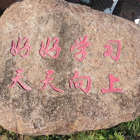 铭铭辣辣辣好好好于2023-06-29 12:41发布的图片