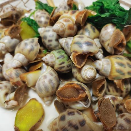 jzp2于2023-06-24 10:02发布的图片