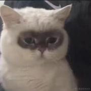 蓝翔1995届毕业生的个人资料头像