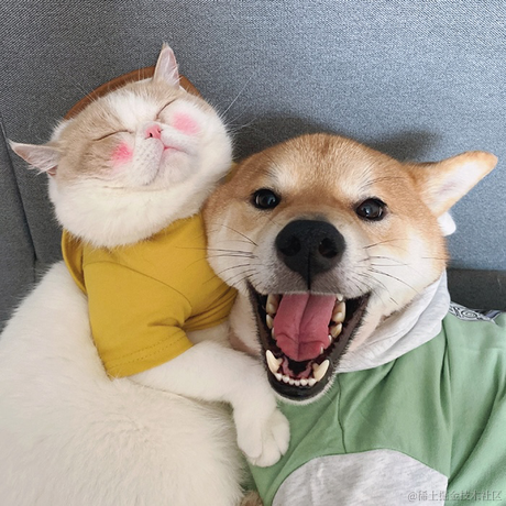 LR于2021-08-02 17:07发布的图片