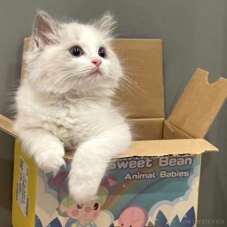 CDCD于2022-11-18 22:31发布的图片