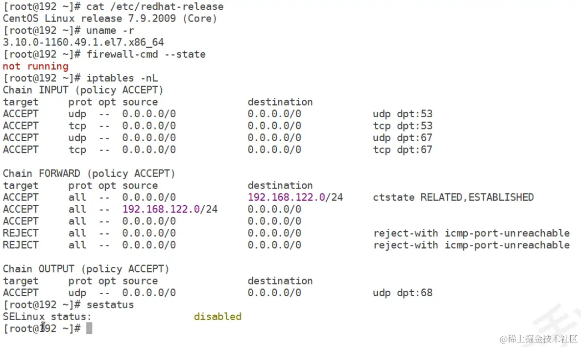 image-20231115210455947