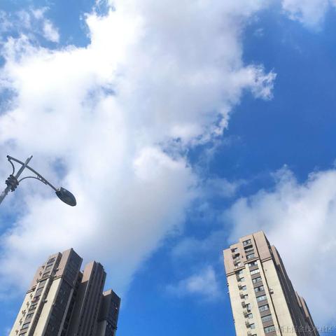 sunshinehh于2021-07-21 12:52发布的图片