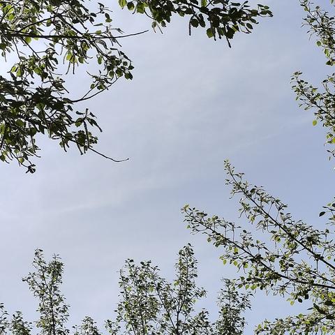 丹舟于2023-05-01 17:32发布的图片