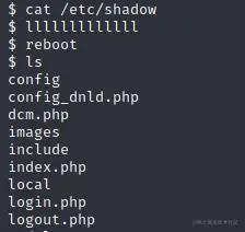 命令是没有回显