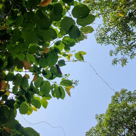 叨叨呀于2022-04-15 14:40发布的图片