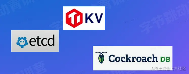 image-20220818043248314