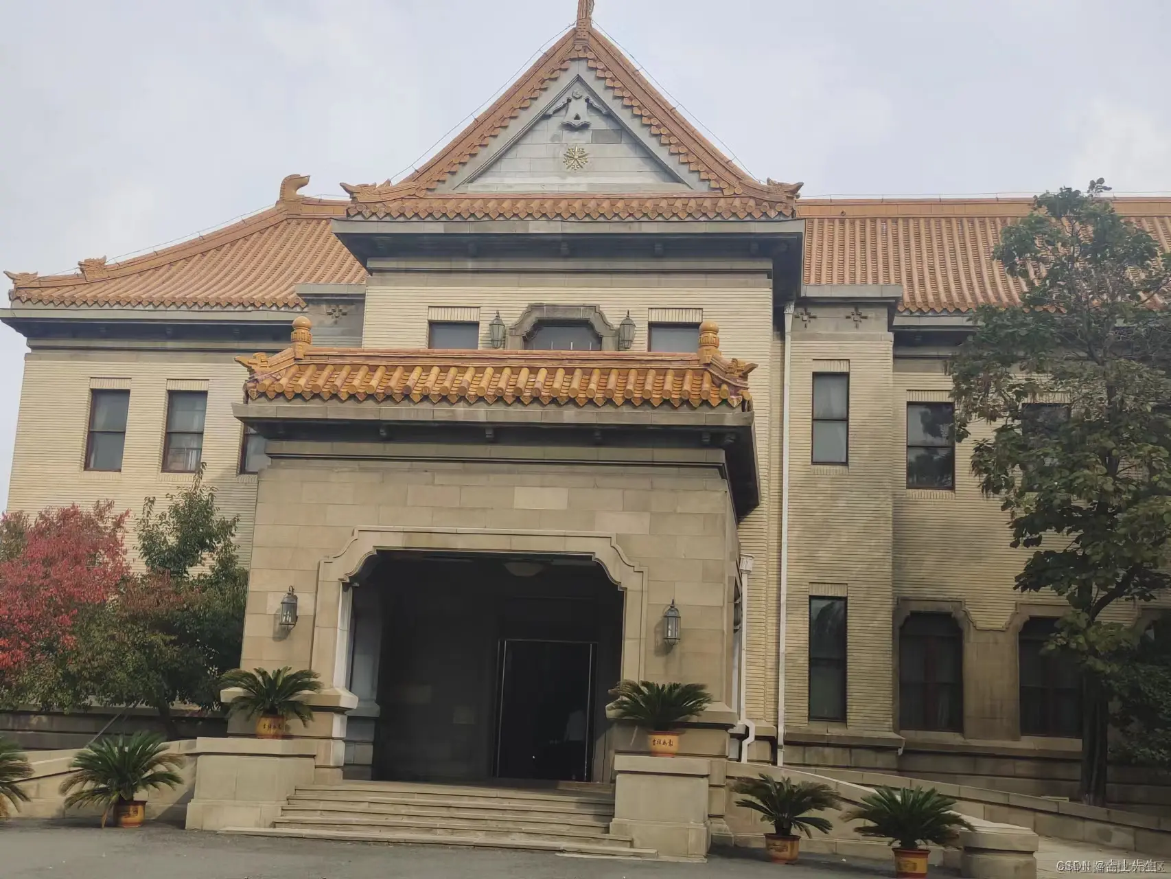 在这里插入图片描述