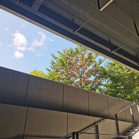 一般通过修伞er于2022-12-07 18:03发布的图片