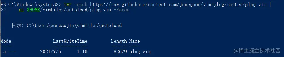 C:\Users\xxx\vimfiles\autoload\plug.vim