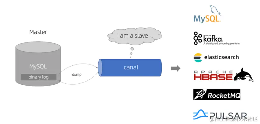image-20210821115948395